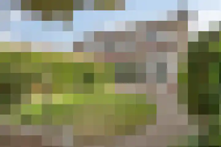 John F. Kennedylaan 78 Panningen thumbnail 4