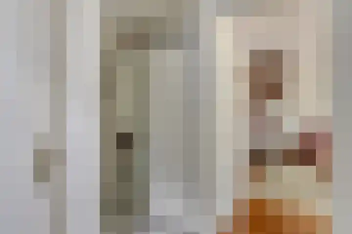 John F. Kennedylaan 78 Panningen thumbnail 7