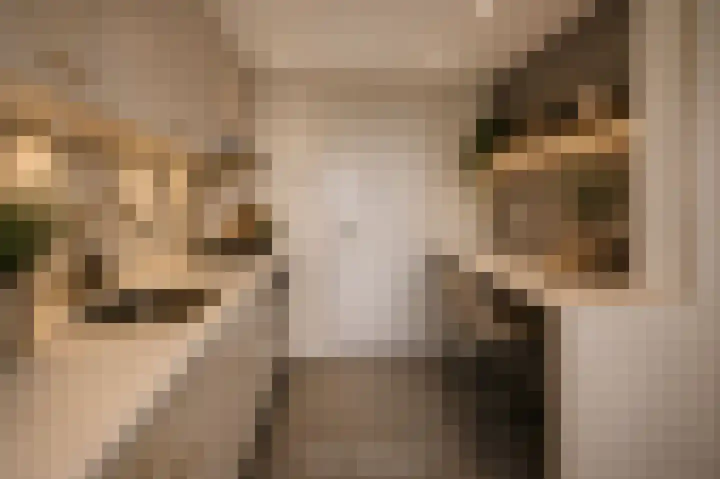 John F Kennedylaan 8 Vleuten thumbnail 8