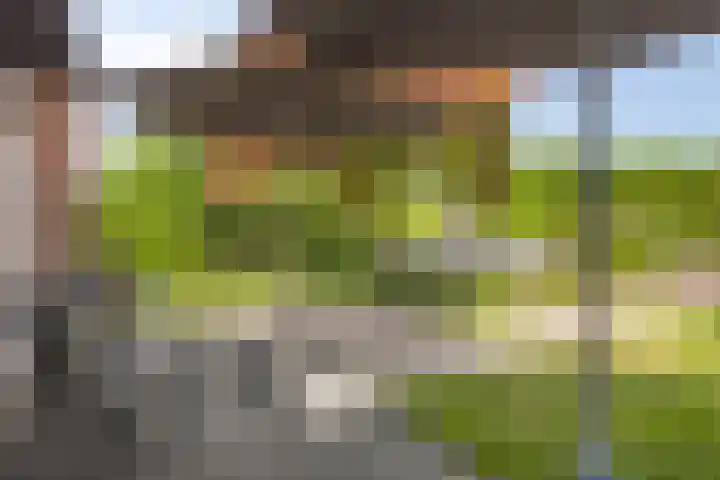 John F. Kennedylaan 8 Vught thumbnail 25