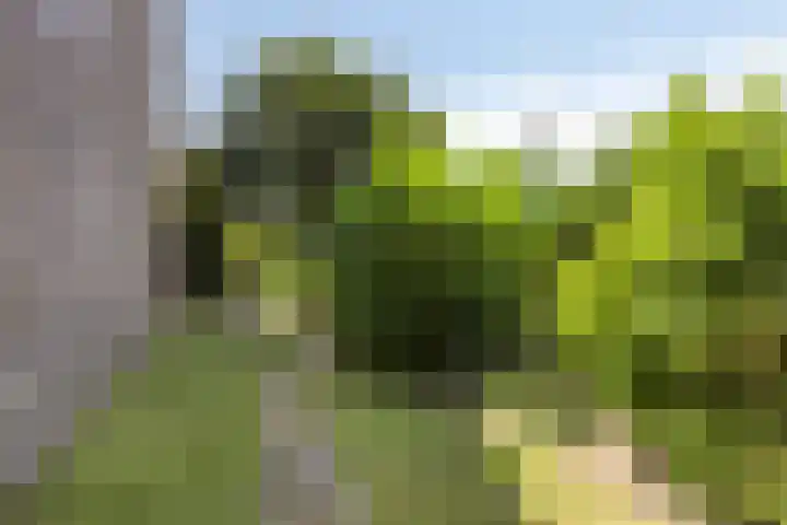 John F. Kennedylaan 8 Vught thumbnail 28