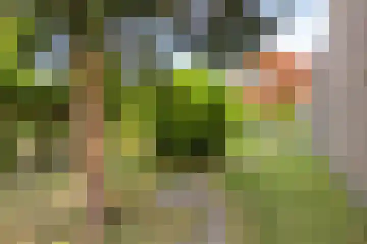 John F. Kennedylaan 8 Vught thumbnail 29