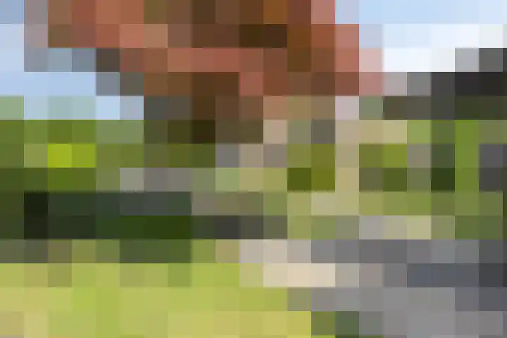 John F. Kennedylaan 8 Vught thumbnail 30