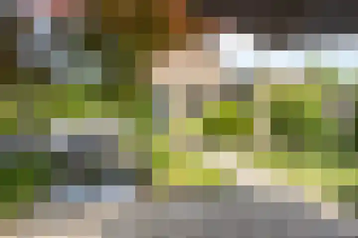John F. Kennedylaan 8 Vught thumbnail 5