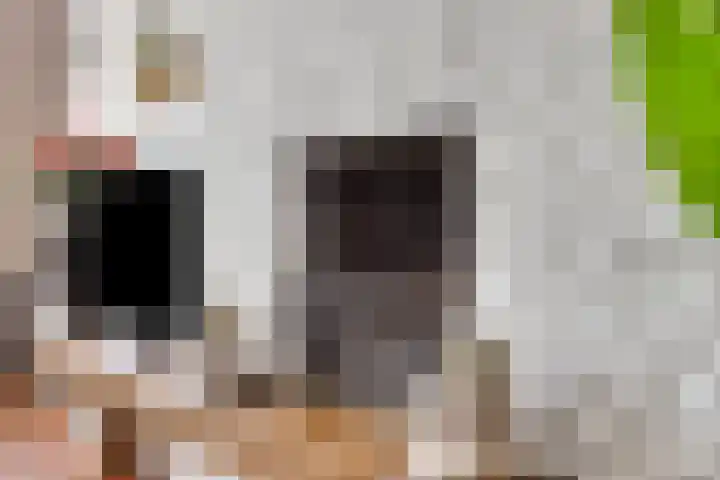 John F. Kennedylaan 8 Vught thumbnail 8