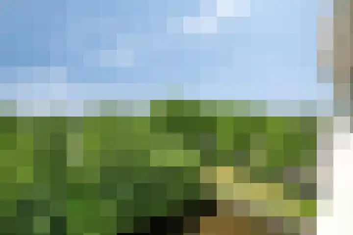 John F. Kennedyplantsoen 26 Voorschoten thumbnail 30
