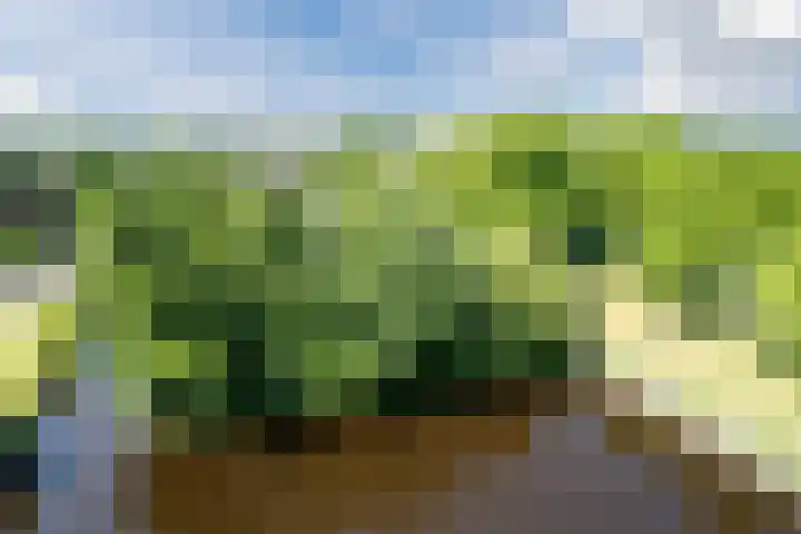 John F. Kennedyplantsoen 32 Voorschoten thumbnail 4