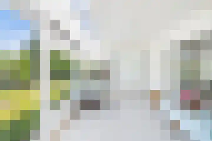 John F. Kennedysingel 19 Kloosterzande thumbnail 10