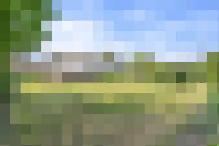 John F. Kennedysingel 19 Kloosterzande thumbnail 32
