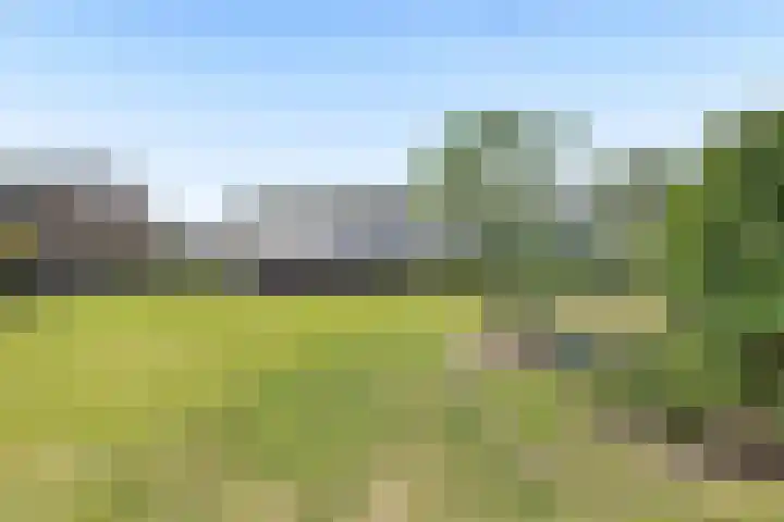 John F. Kennedysingel 19 Kloosterzande thumbnail 33