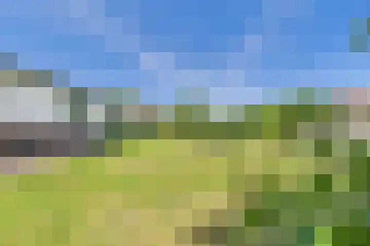 John F. Kennedysingel 19 Kloosterzande thumbnail 34