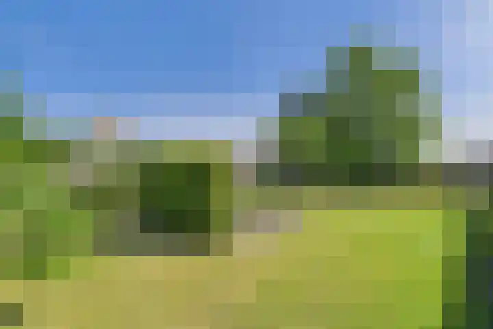 John F. Kennedysingel 19 Kloosterzande thumbnail 35