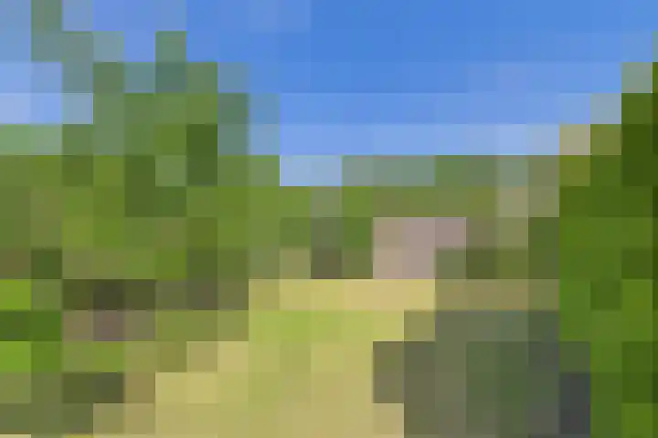 John F. Kennedysingel 19 Kloosterzande thumbnail 36