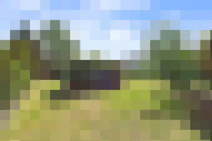 John F. Kennedysingel 19 Kloosterzande thumbnail 37
