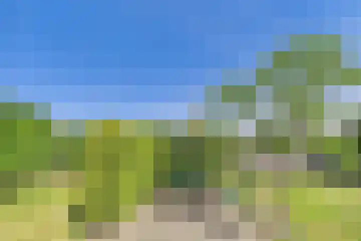 John F. Kennedysingel 19 Kloosterzande thumbnail 38