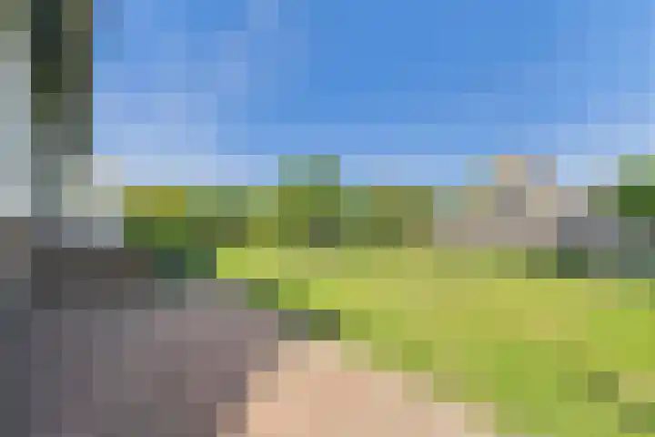John F. Kennedysingel 19 Kloosterzande thumbnail 39