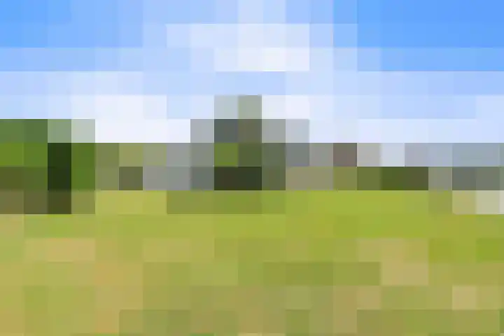 John F. Kennedysingel 19 Kloosterzande thumbnail 41