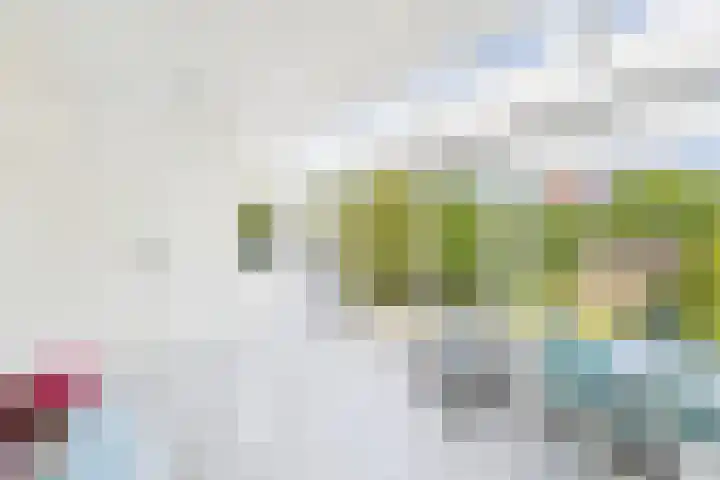 John F. Kennedysingel 19 Kloosterzande thumbnail 9