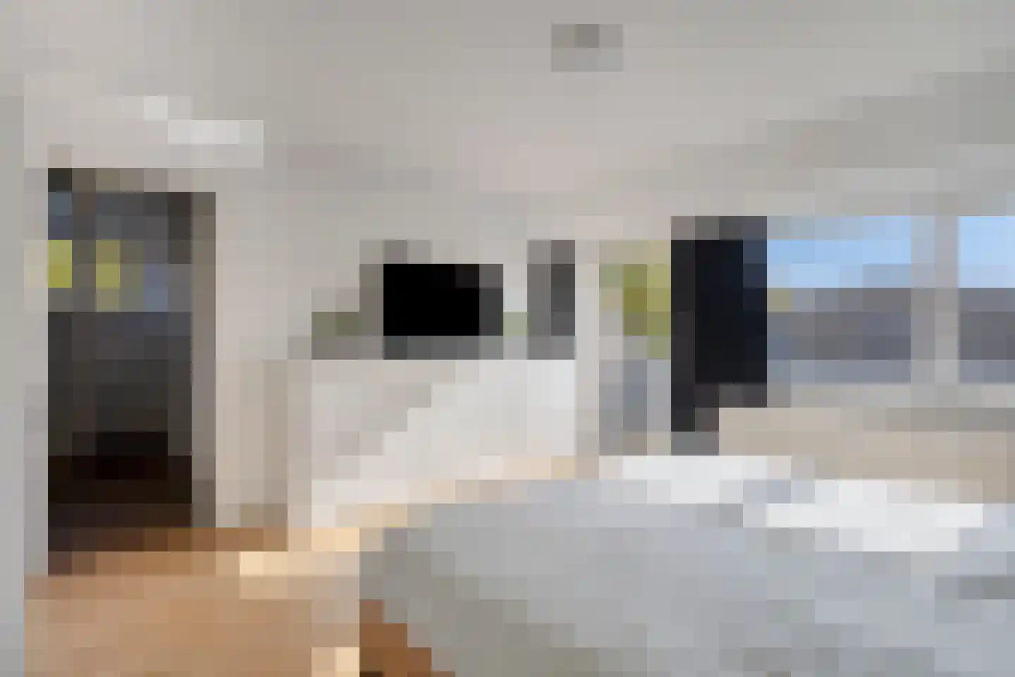 John F. Kennedysingel 24 Melick thumbnail 24
