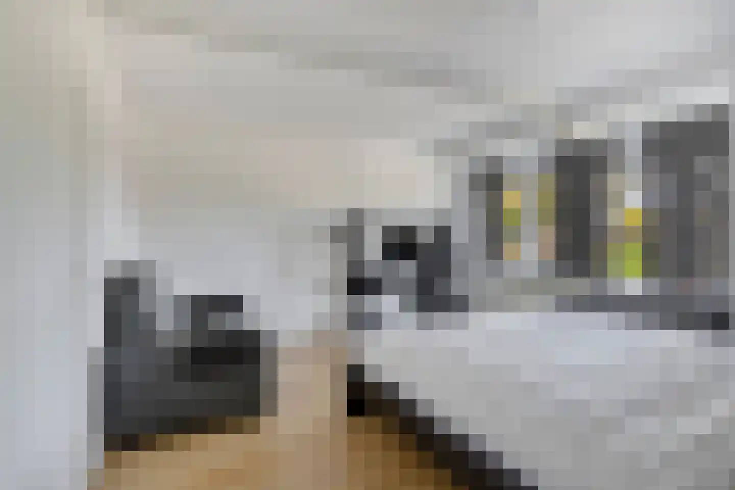 John F. Kennedysingel 24 Melick thumbnail 28