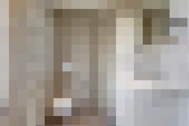 John F. Kennedysingel 26 Melick thumbnail 24