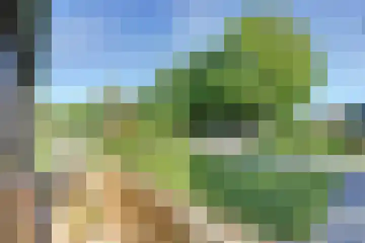 John F. Kennedysingel 26 Melick thumbnail 27