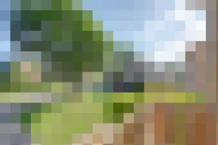 John F. Kennedysingel 26 Melick thumbnail 28