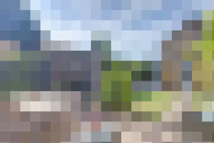 John F. Kennedysingel 26 Melick thumbnail 36