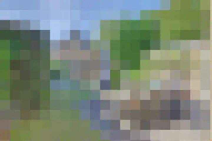 John F. Kennedysingel 26 Melick thumbnail 37