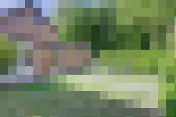 John F. Kennedysingel 26 Melick thumbnail 38