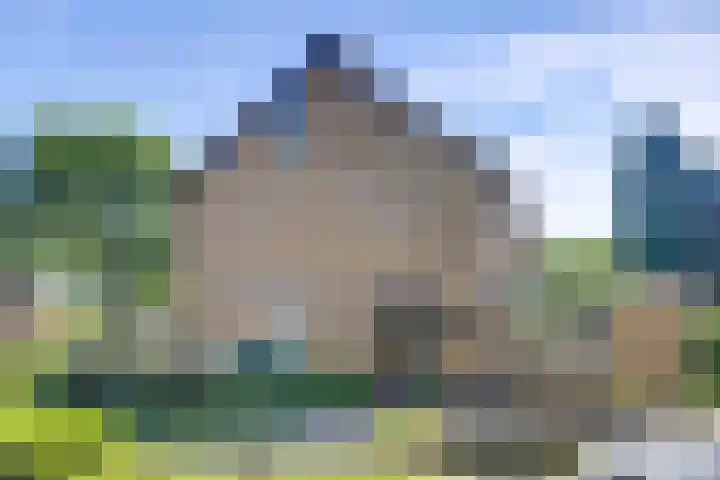 John F. Kennedysingel 26 Melick thumbnail 9