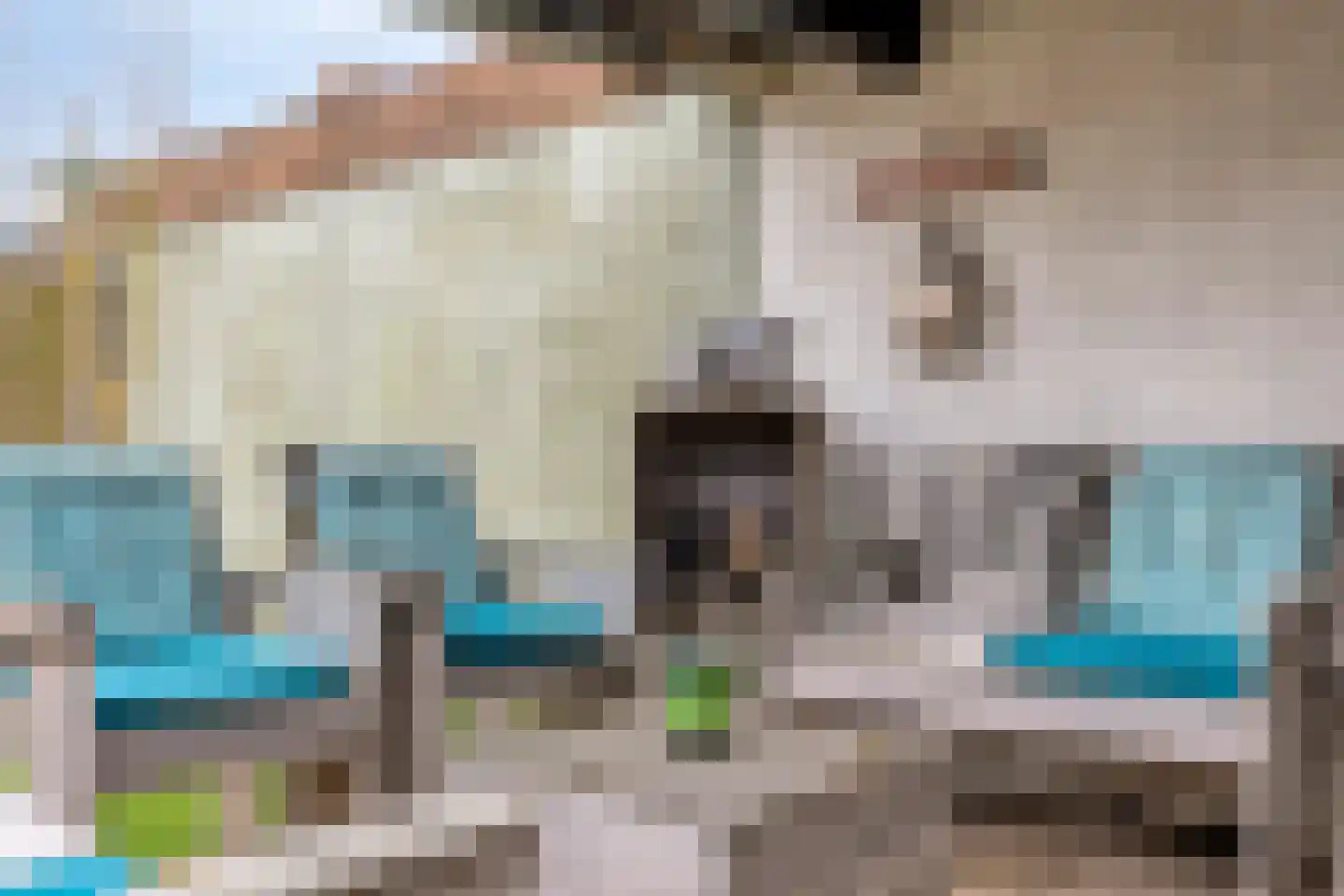 John F.Kennedystraat 19 Steenbergen thumbnail 32