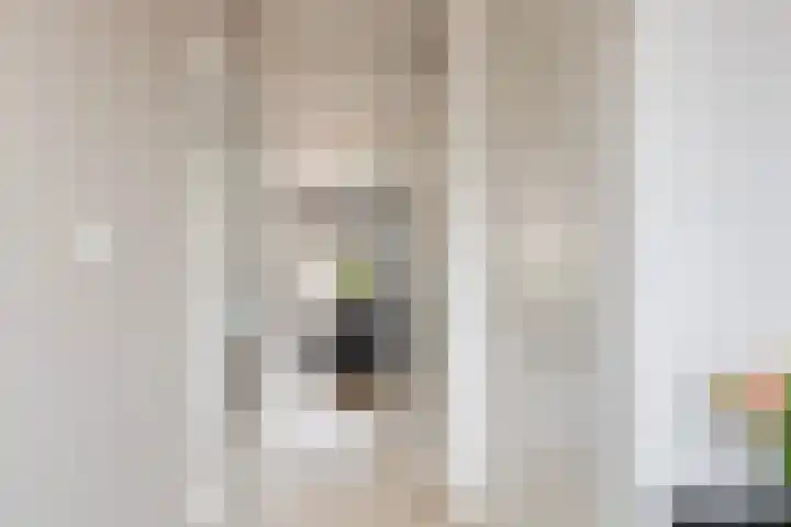 John F. Kennedystraat 20 Heinenoord thumbnail 7