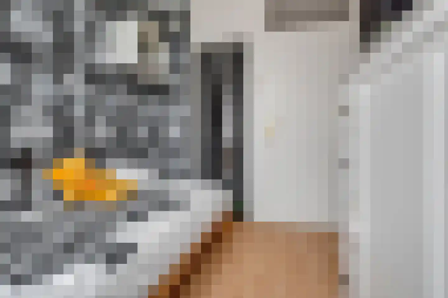 John F. Kennedystraat 39 Heinenoord thumbnail 17