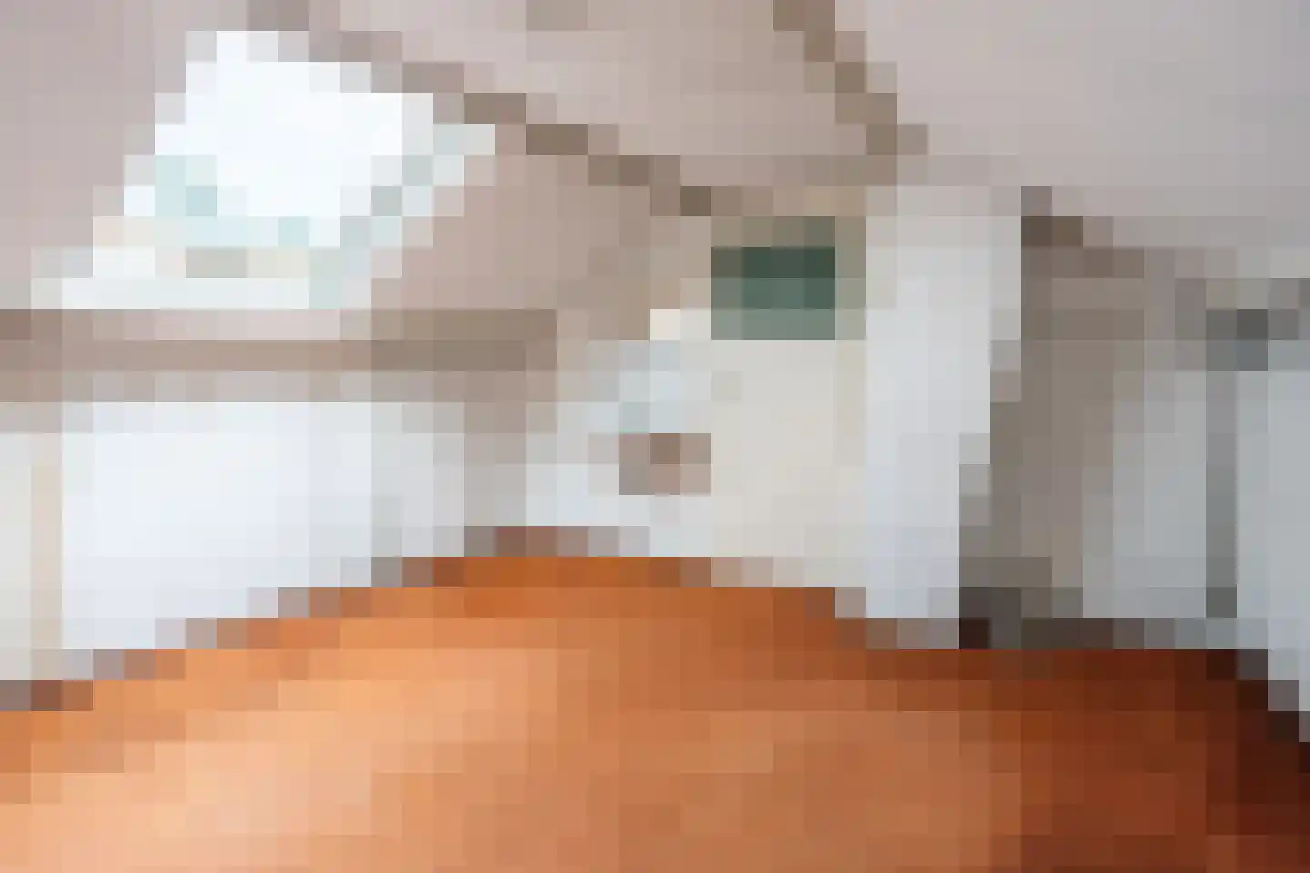 John F. Kennedystraat 43 Heesch thumbnail 22