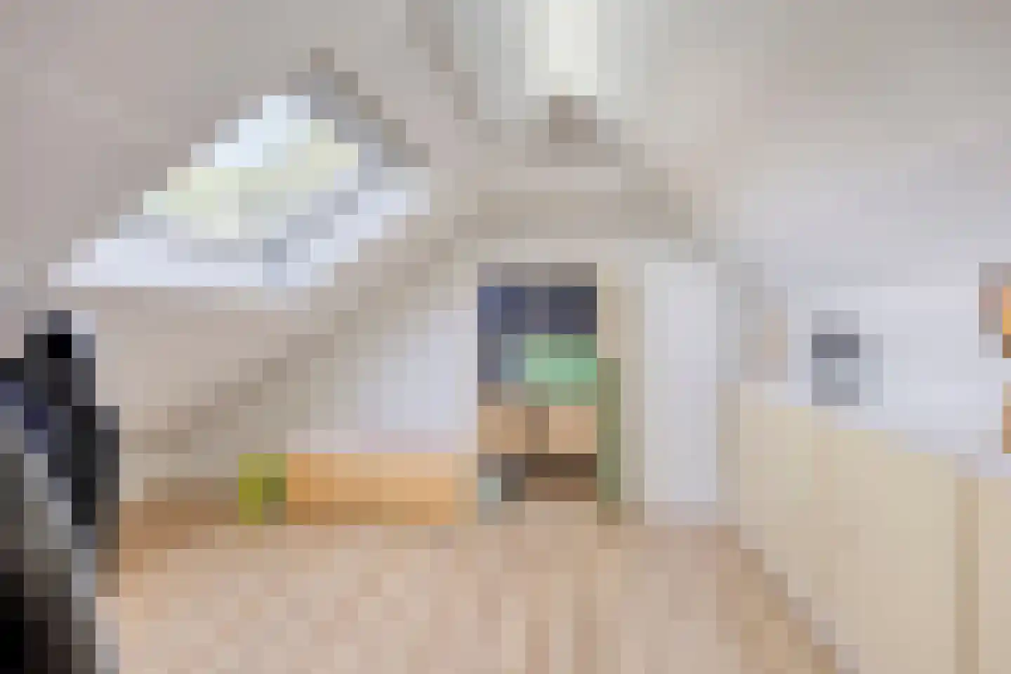 John F. Kennedystraat 60 Heesch thumbnail 29