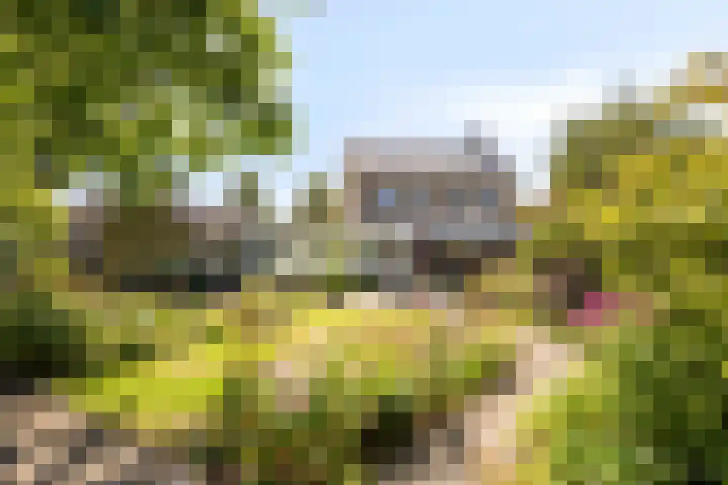 John F. Kennedystraat 60 Heesch thumbnail 39