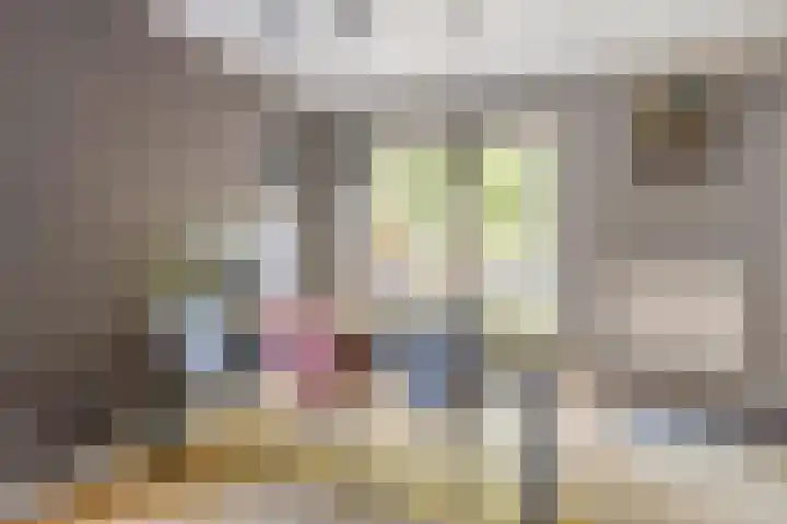 John F. Kennedystraat 7 Oud-Vossemeer thumbnail 16