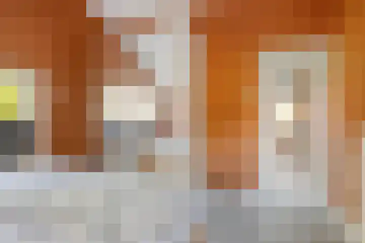 John F. Kennedystraat 7 Oud-Vossemeer thumbnail 21