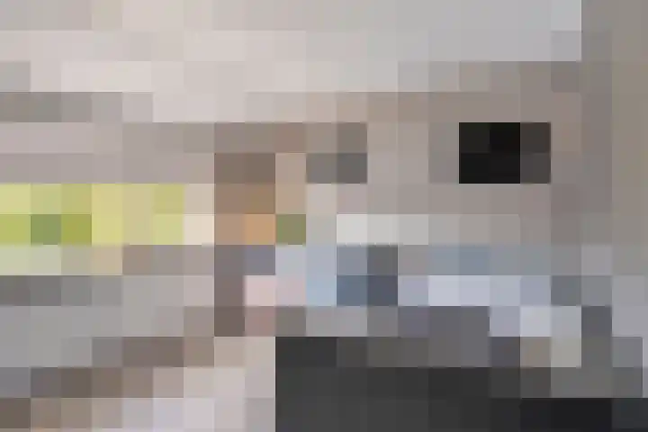 John F. Kennedystraat 7 Oud-Vossemeer thumbnail 23