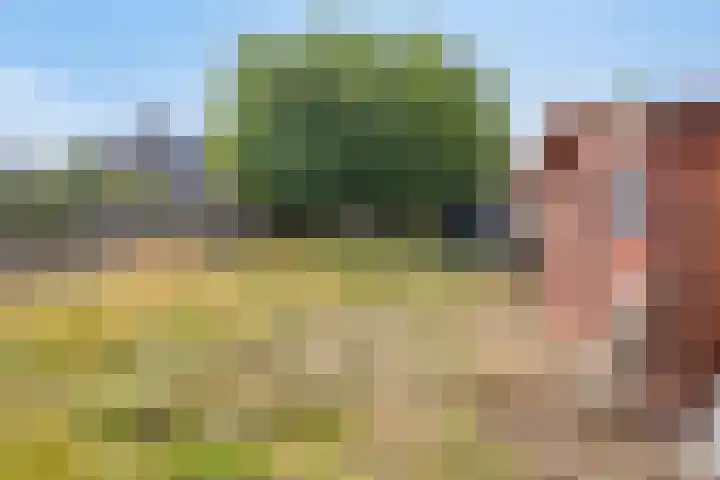 John F. Kennedystraat 7 Oud-Vossemeer thumbnail 34