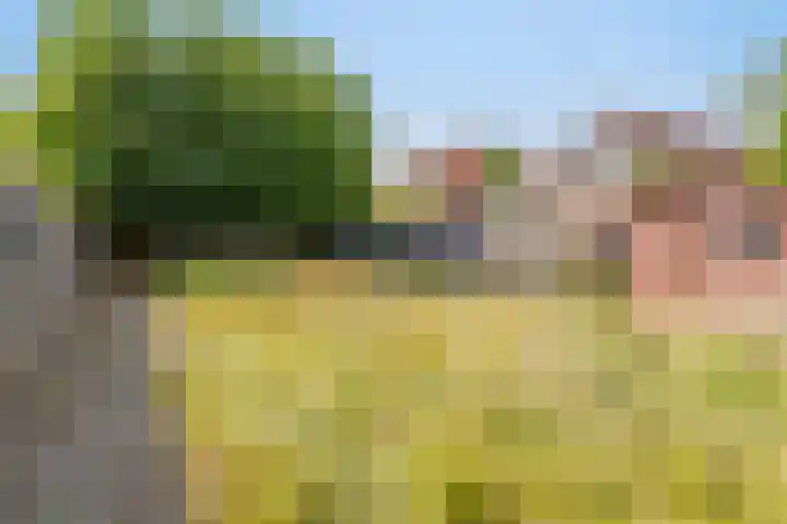John F. Kennedystraat 7 Oud-Vossemeer thumbnail 6