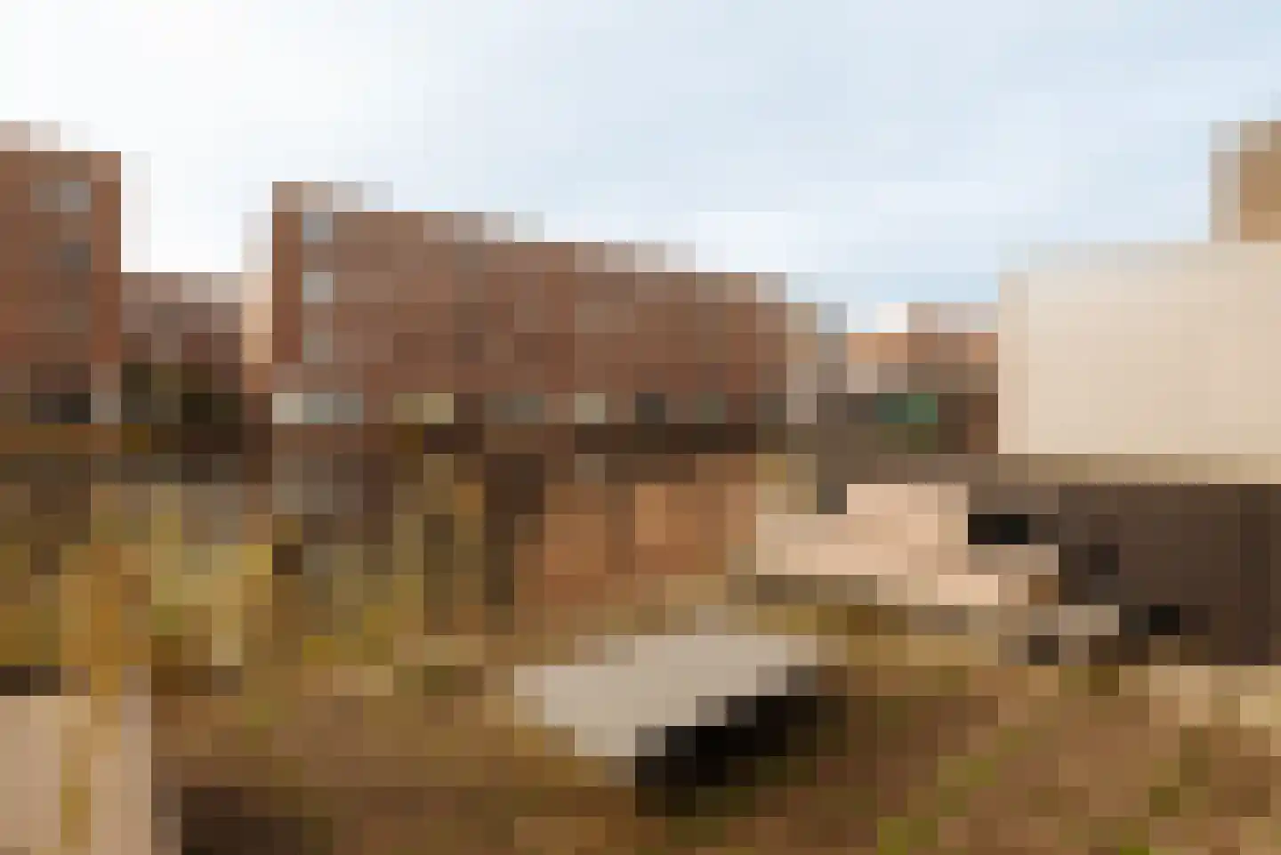 John Fernhouthof 16 Amsterdam thumbnail 12