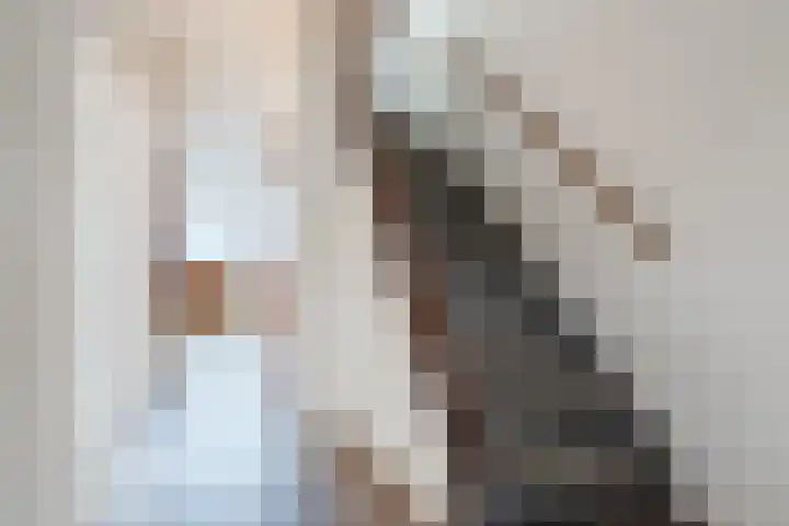John Franklinstraat 17 Geldrop thumbnail 11