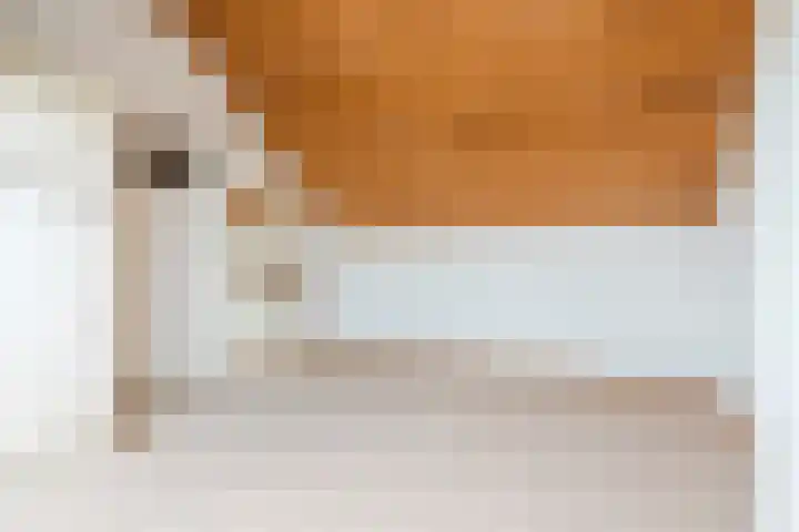 John Franklinstraat 17 Geldrop thumbnail 21