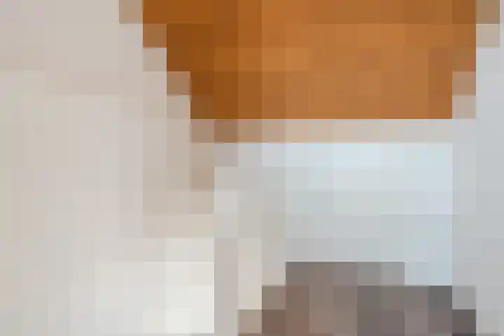 John Franklinstraat 17 Geldrop thumbnail 23