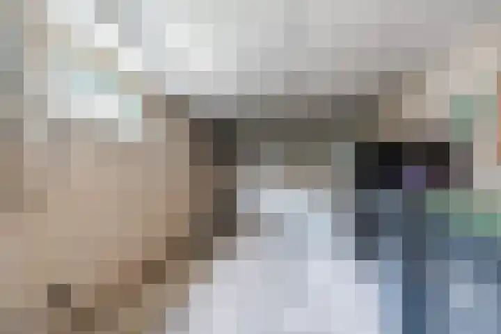 John Franklinstraat 17 Geldrop thumbnail 26