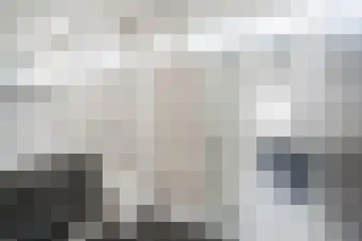 John Franklinstraat 17 Geldrop thumbnail 4