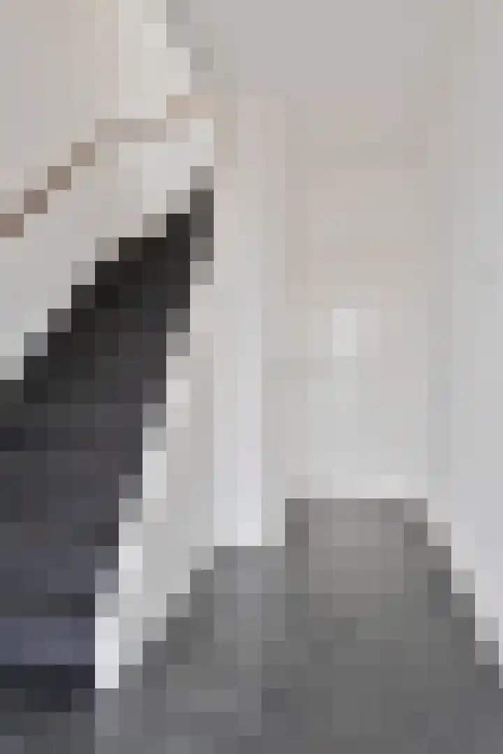 John Franklinstraat 18 Geldrop thumbnail 15