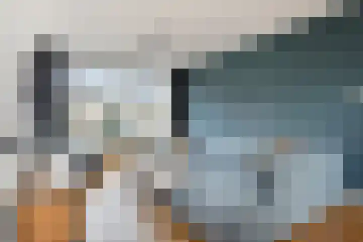 John Franklinstraat 18 Geldrop thumbnail 16